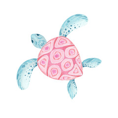 Watercolor turtle illustration. Ocean animal in pink and turquoise colors with colored pencil texture. Perfect for sea-themed cards, kids decor, stationery, and stickers.