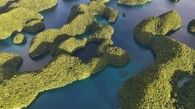 Dynamic downward angle drone shot hovering and revealing the serene turquoise coastline and small tropical islands in Palau. Wide cinematic drone shot.