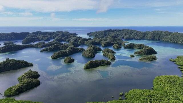 Scenic cinematic aerial drone shot hovering to expose the pristine turquoise sea and lush islets of Palau. Wide cinematic drone shot.