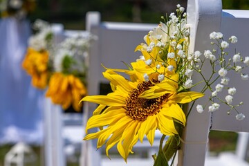 Sunflowers and baby's breath at an outdoor wedding