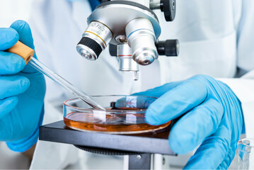 Scientist in blue gloves using a pipette and petri dish under a microscope