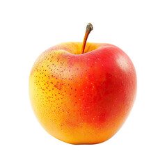 Ripe apple with red and yellow hues