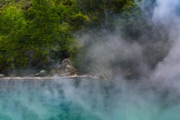 Thick geothermal steam rises from a vivid turquoise pool, partially veiling the surrounding lush forest and a quaint red-roofed house in the distance. Rotorua's surreal volcanic beauty.