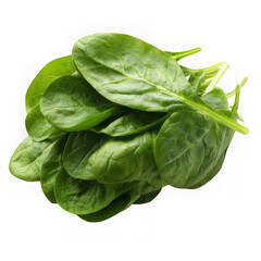 Fototapeta premium Pile of fresh spinach leaves isolated on transparent background