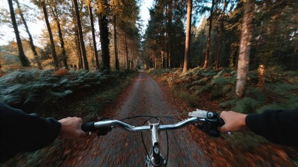Cyclist on a trail through autumnal woods