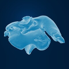 Microscopic view of a tiny blue organism