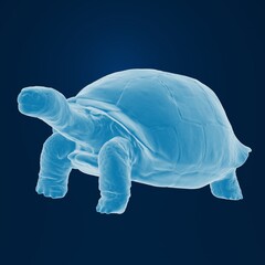 Futuristic holographic tortoise on a blue background.