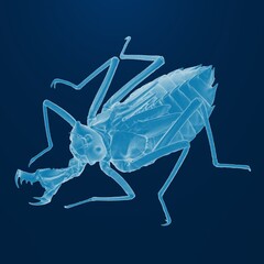 X-ray view of a beetle on a dark blue background.