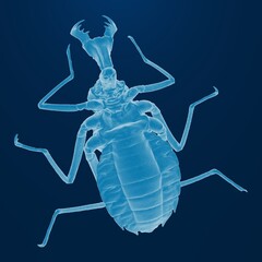 Detailed X-ray view of an insect on a blue background.