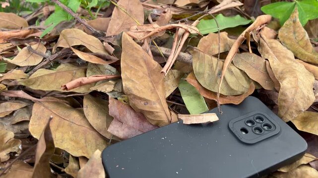 The cellphone was thrown into the bushes during the day.