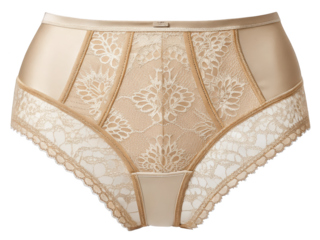 Elegant beige panties detailed with floral lace and silky panels high waist underwear for women lingerie fashion close up