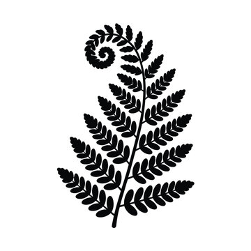 Black silhouette of a fern frond with a fiddlehead