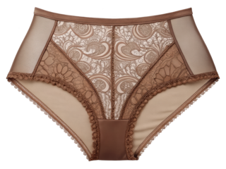 Elegant high waist panties with brown lace and floral pattern on background for stock photography and editorial use