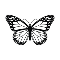 Monarch butterfly illustration in black and white