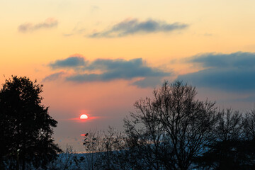 Sunset over the marmara sea and silhouettes of trees in the foreground in istanbul