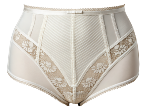 Elegant womens high waisted panties in ivory with floral lace and striped paneling on a background for fashion