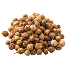  coriander seed isolated [Transparent Background PNG ].