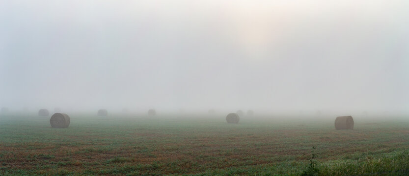 Round hay bales in farm paddock barely visible through fog on misty morning
