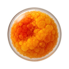 Chromoplast with varying pigment densities in a single organelle