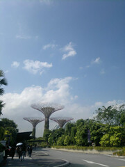 Fototapeta premium Garden by the bay singapore