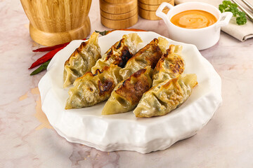 Japanese fried Gyoza stuffed dumplings