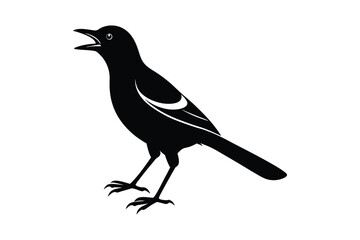 Fototapeta premium Set of Magpie Silhouette vector, Black Magpie Silhouette 