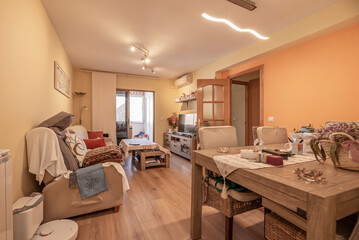 Living Rooms: The Epicenter of Comfort and Conviviality