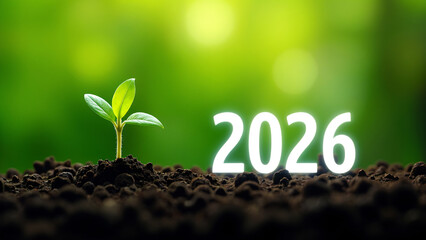 New Year 2026 Sprout Growing in Soil Future Growth Concept