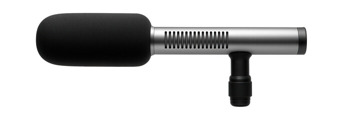 Directional microphone with shotgun tube and foam windscreen