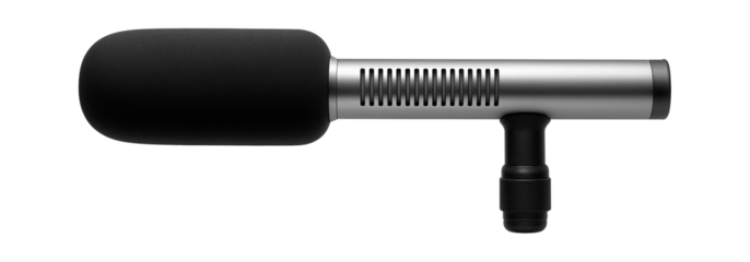 Directional microphone with shotgun tube and foam windscreen