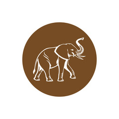 elephant vector illustration symbol design