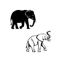 elephant vector illustration symbol design