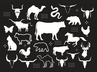 Big vector set of different world wild animals, mammals, fish, reptiles and birds. Rare animals. Funny flat characters, good for banners, prints, patterns, infographics