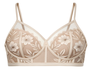 Elegant beige lingerie bra detailed with floral embroidery delicate lace and supportive straps romantic underwear fashion accessory for women exquisite close up