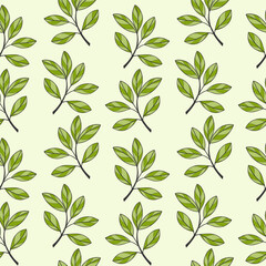 Pattern with green branches leaves, botanical contour drawing, textile green pastel background.