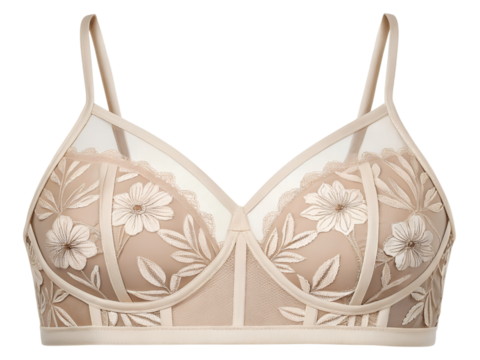 Elegant beige lingerie bra detailed with floral embroidery delicate lace and supportive straps romantic underwear fashion accessory for women exquisite close up