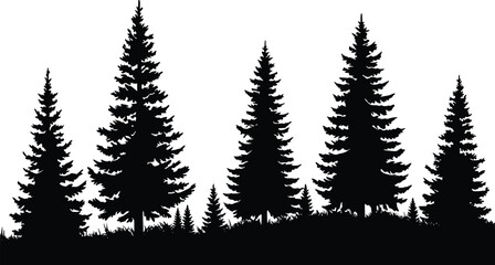 Obraz premium Silhouette of multiple dense coniferous evergreen trees arranged to create tranquil forest depth