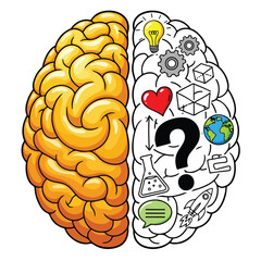 A Left and Right Brain Hemisphere Concept Illustration a Creative vs Logical Thinking Vector