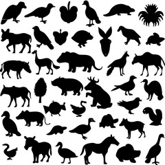 Silhouette Collection of Diverse Animals Birds and Fruits on a White Background