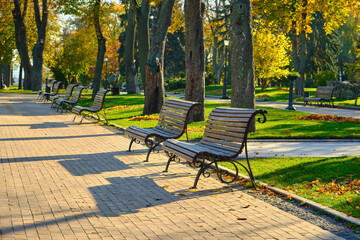 Empty Park Benches in Golden Autumn Sunlight