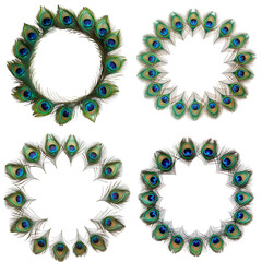 Set of peacock feathers frame, isolated 