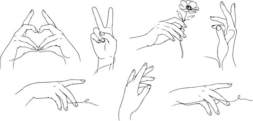 Collection of diverse hand gestures and poses sketches detailed anatomical study