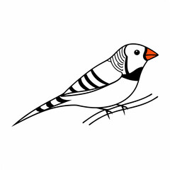 Vector art of a stylized black white illustration of a zebra finch perched on a thin