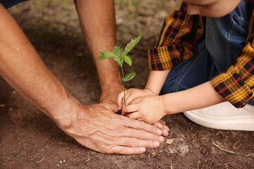 Father and his son planting tree into soil outdoors, closeup