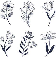 Beautiful drawing set of flowers, Minimal botanical elements vector illustration, Black plant and floral lineart isolated on a white background