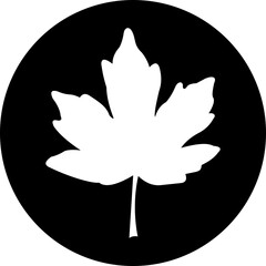 Maple leaf icon. Canadian flag black maple leaf icon design isolated on transparent background. Autumn leaf symbol. Vector illustration, Stock illustration.