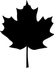 Maple leaf icon. Canadian flag black maple leaf icon design isolated on transparent background. Autumn leaf symbol. Vector illustration, Stock illustration.