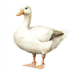 yuniazizah__Watercolor_hand-drawn_Peking_Duck_clip_art_white_ba_f1bef820-ffc8-4233-aa29-a83088256835