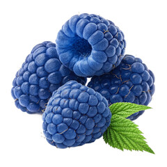 Fresh blue raspberries with green leaf, perfect for healthy eating and culinary concepts