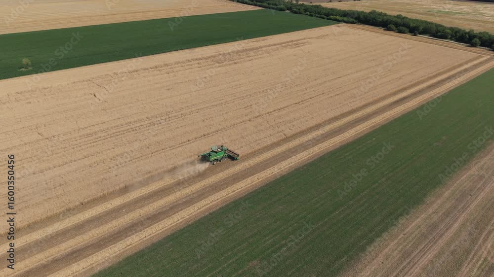 Poster wide aerial shot showing a green combine harvester working across a vast wheat field. neatly cut row